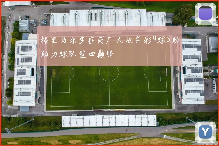 格里马尔多在药厂大放异彩9球5助助力球队重回巅峰