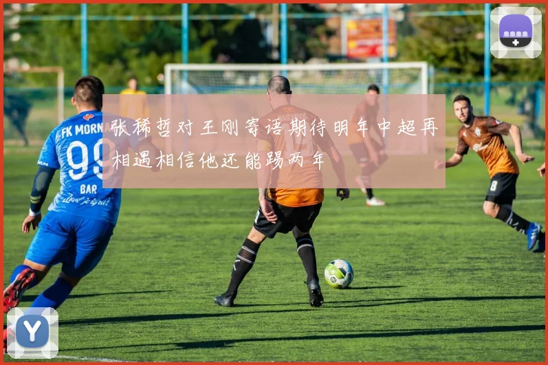 张稀哲对王刚寄语期待明年中超再相遇相信他还能踢两年